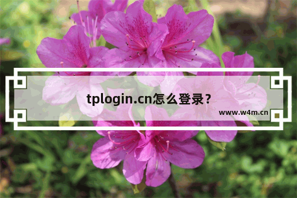 tplogin.cn怎么登录？