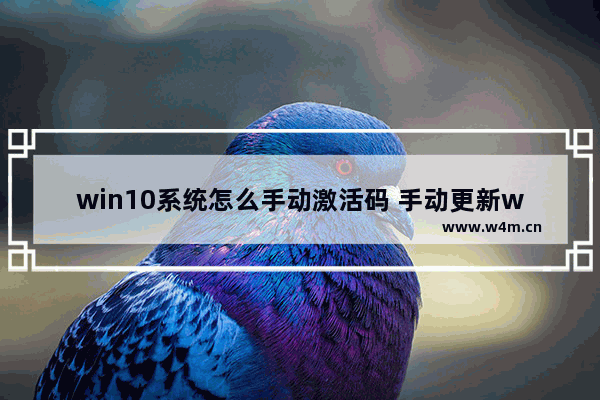 win10系统怎么手动激活码 手动更新win10系统