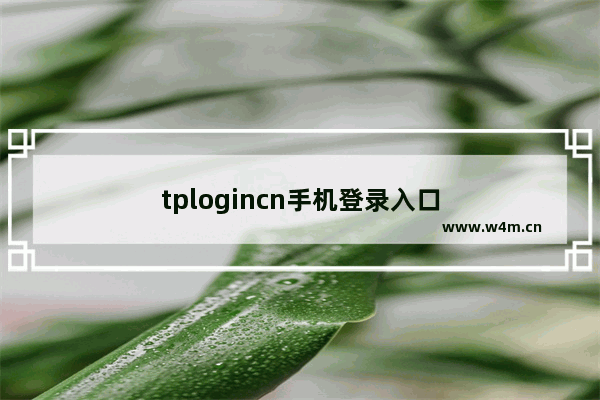 tplogincn手机登录入口