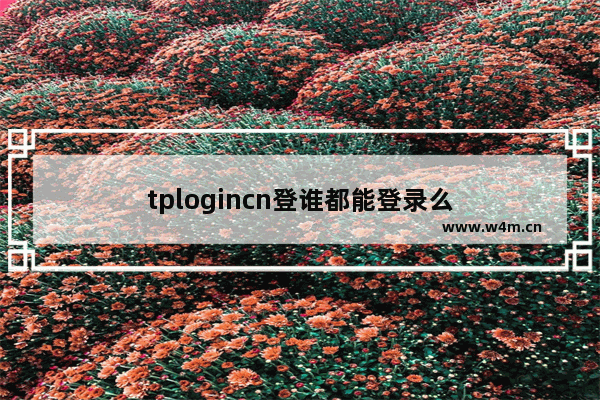 tplogincn登谁都能登录么