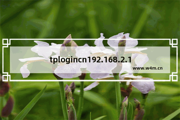 tplogincn192.168.2.1