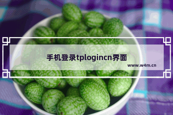 手机登录tplogincn界面