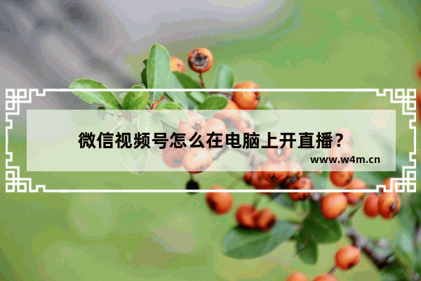 微信视频号怎么在电脑上开直播？