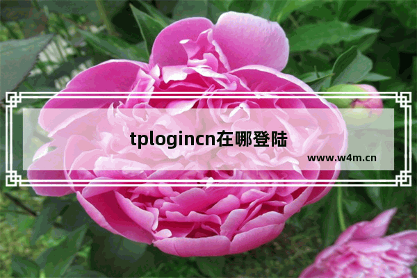 tplogincn在哪登陆