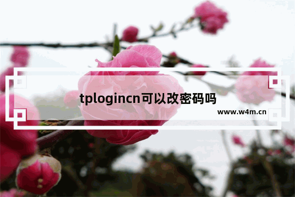 tplogincn可以改密码吗