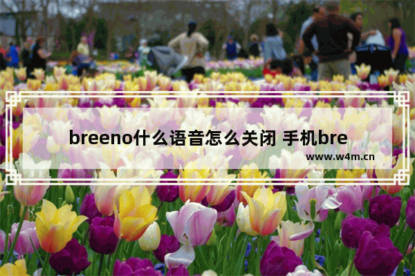 breeno什么语音怎么关闭 手机breeno语音怎么关闭