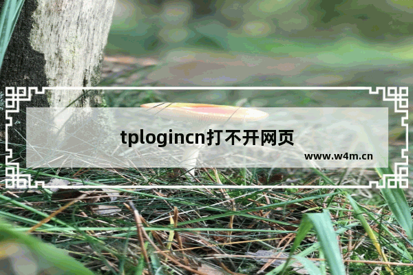 tplogincn打不开网页