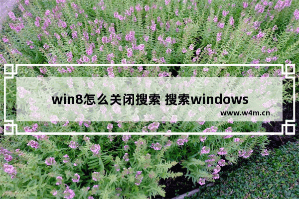 win8怎么关闭搜索 搜索windows怎么关闭