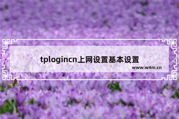 tplogincn上网设置基本设置