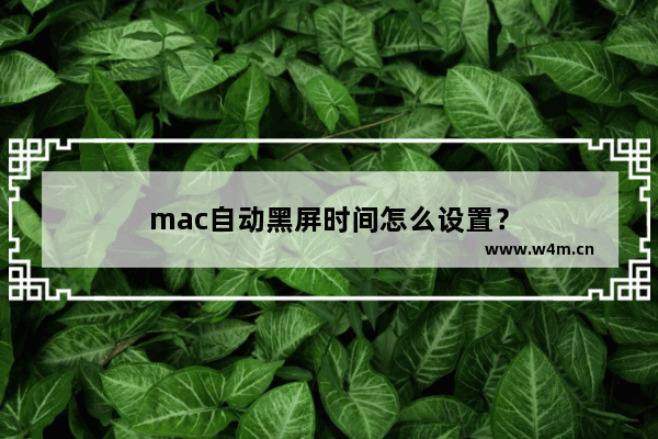 mac自动黑屏时间怎么设置？