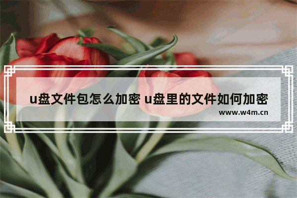 u盘文件包怎么加密 u盘里的文件如何加密文件