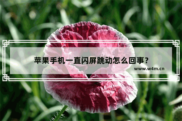 苹果手机一直闪屏跳动怎么回事？