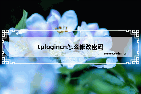 tplogincn怎么修改密码