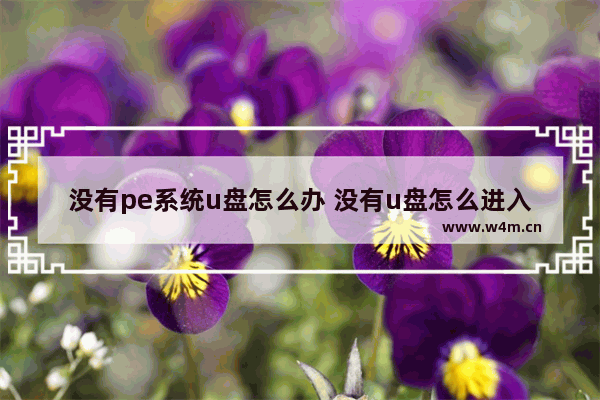 没有pe系统u盘怎么办 没有u盘怎么进入pe系统盘