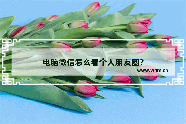 电脑微信怎么看个人朋友圈？