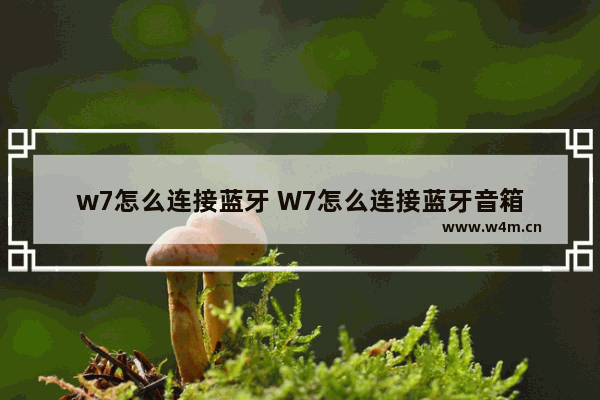 w7怎么连接蓝牙 W7怎么连接蓝牙音箱