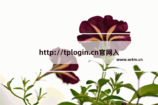 http://tplogin.cn官网入口