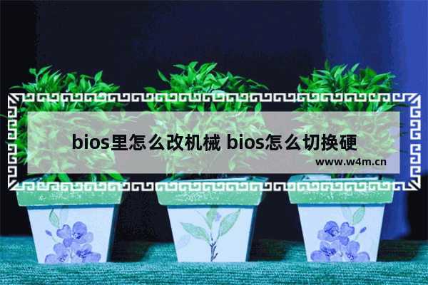 bios里怎么改机械 bios怎么切换硬盘