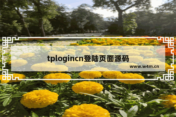 tplogincn登陆页面源码