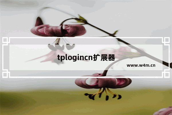 tplogincn扩展器