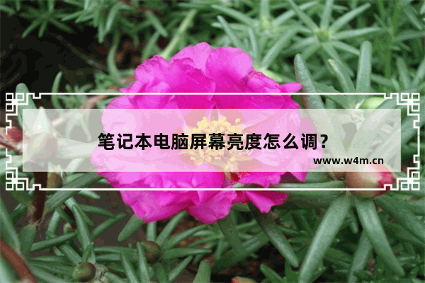 笔记本电脑屏幕亮度怎么调？