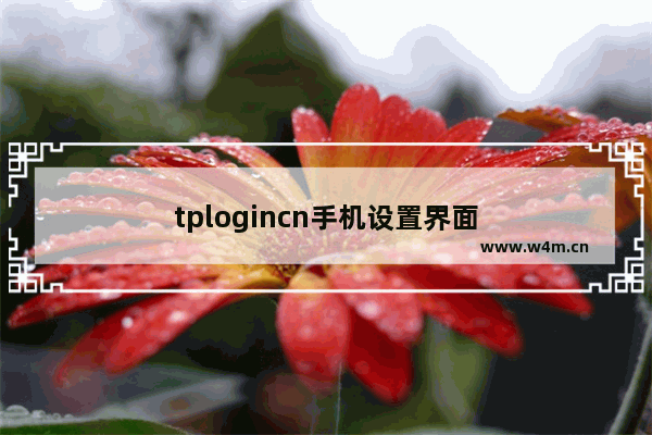 tplogincn手机设置界面