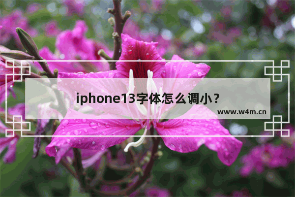 iphone13字体怎么调小？