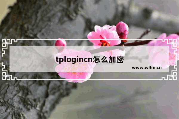 tplogincn怎么加密