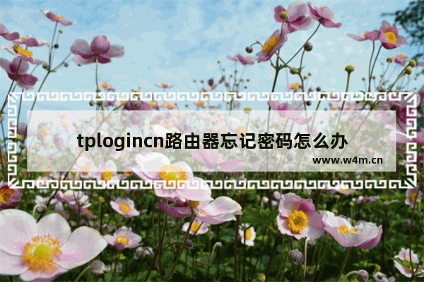 tplogincn路由器忘记密码怎么办