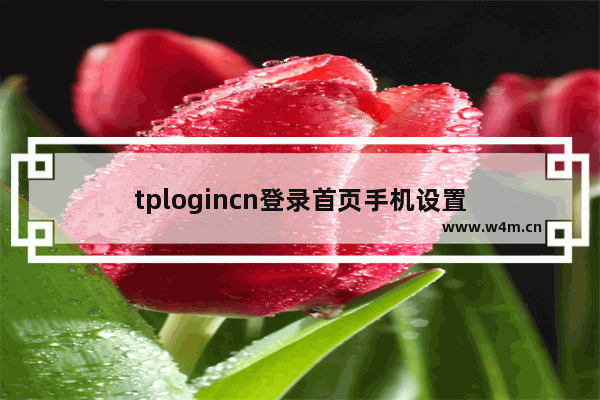 tplogincn登录首页手机设置