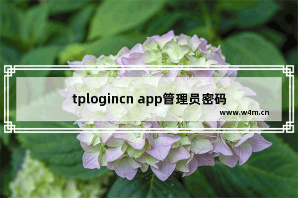 tplogincn app管理员密码