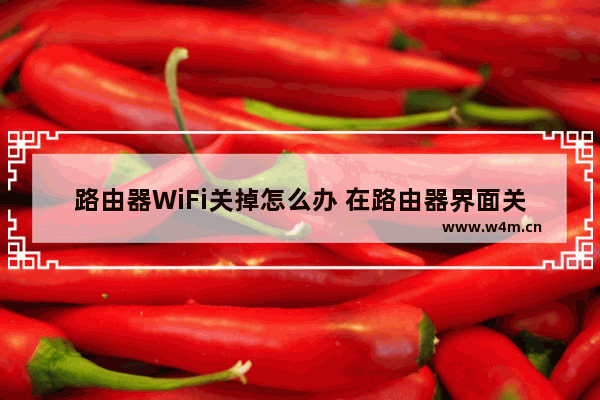 路由器WiFi关掉怎么办 在路由器界面关掉了wifi开关怎么办