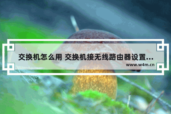 交换机怎么用 交换机接无线路由器设置教程【详解】