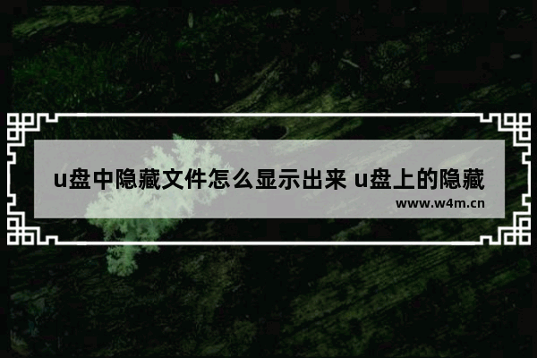 u盘中隐藏文件怎么显示出来 u盘上的隐藏文件夹怎么显示出来