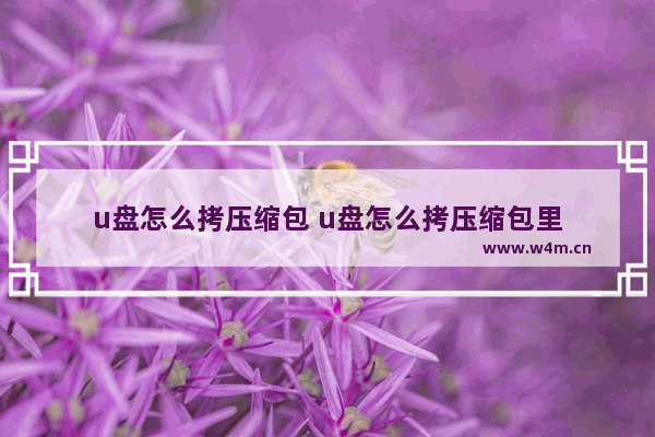 u盘怎么拷压缩包 u盘怎么拷压缩包里