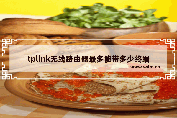 tplink无线路由器最多能带多少终端