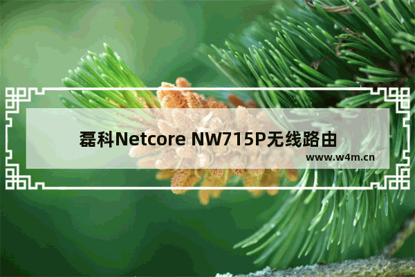 磊科Netcore NW715P无线路由器设置方法