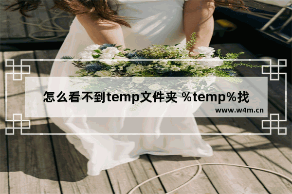 怎么看不到temp文件夹 %temp%找不到