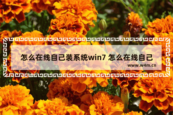 怎么在线自己装系统win7 怎么在线自己装系统win7版本