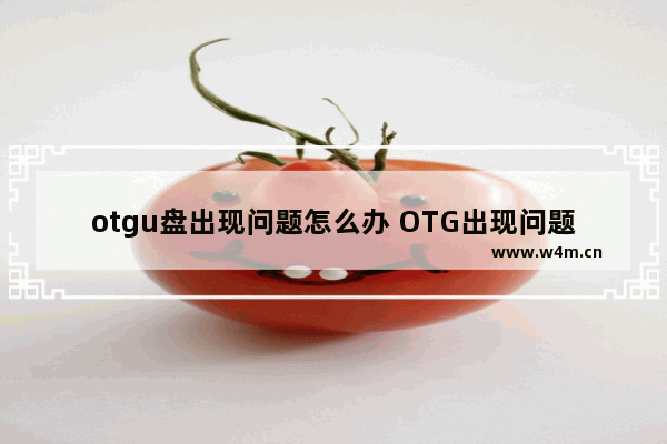 otgu盘出现问题怎么办 OTG出现问题怎么办