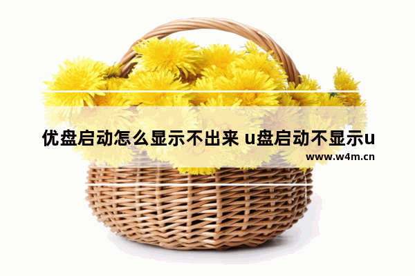 优盘启动怎么显示不出来 u盘启动不显示u盘怎么回事