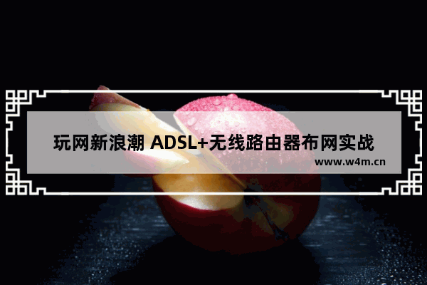 玩网新浪潮 ADSL+无线路由器布网实战(2)