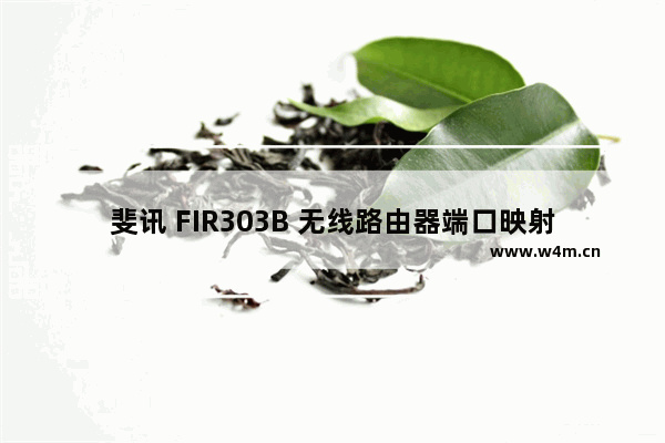 斐讯 FIR303B 无线路由器端口映射设置指南