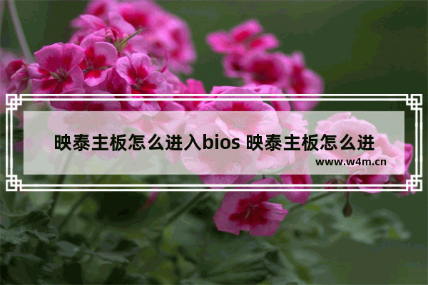 映泰主板怎么进入bios 映泰主板怎么进入安全模式