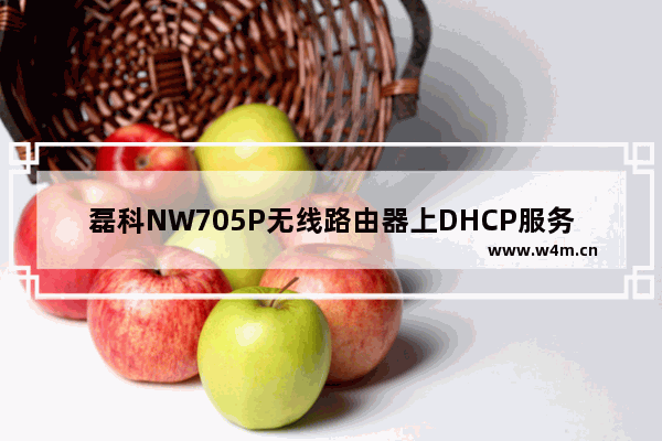 磊科NW705P无线路由器上DHCP服务器设置操作步骤