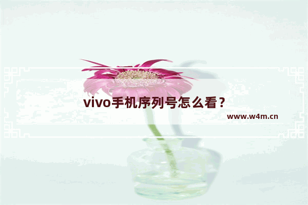 vivo手机序列号怎么看？