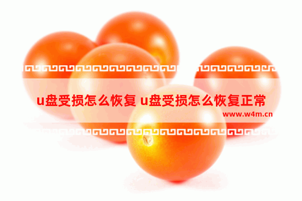 u盘受损怎么恢复 u盘受损怎么恢复正常