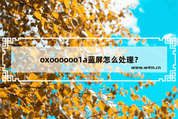 oxoooooo1a蓝屏怎么处理？