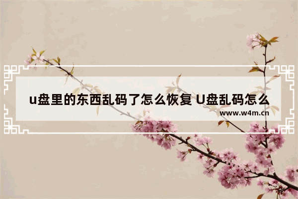 u盘里的东西乱码了怎么恢复 U盘乱码怎么恢复？