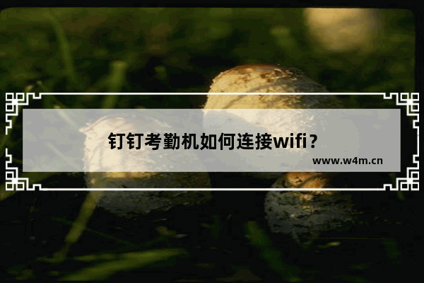 钉钉考勤机如何连接wifi？